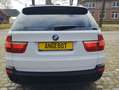 BMW X5 30d Vollausstattung *Topzustand* SH gepflegt Blanco - thumbnail 6