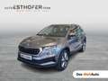 Skoda Karoq 4x4 Selection TDI DSG Grau - thumbnail 1