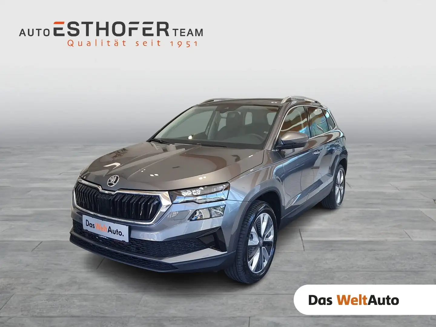 Skoda Karoq 4x4 Selection TDI DSG Grau - 1