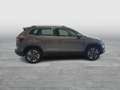 Skoda Karoq 4x4 Selection TDI DSG Grau - thumbnail 6