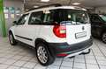 Skoda Yeti Ambition 4x4 Diesel 110 PS AHK 1.Hand Bianco - thumbnail 9