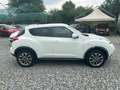 Nissan Juke Juke 1.5 dci Acenta new Bianco - thumbnail 8