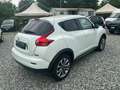 Nissan Juke Juke 1.5 dci Acenta new Bianco - thumbnail 7
