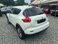 Nissan Juke Juke 1.5 dci Acenta new Bianco - thumbnail 5