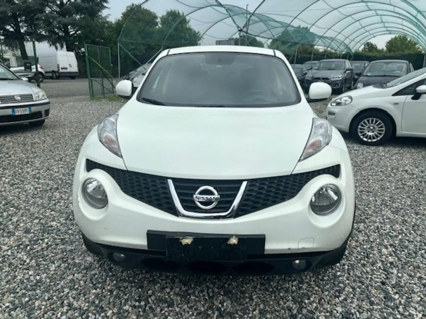 Nissan Juke Juke 1.5 dci Acenta new Bianco - 2