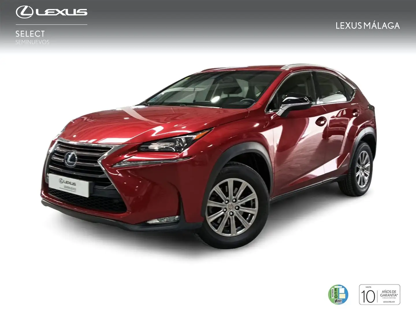 Lexus NX 300 300h Business 2WD Czerwony - 1