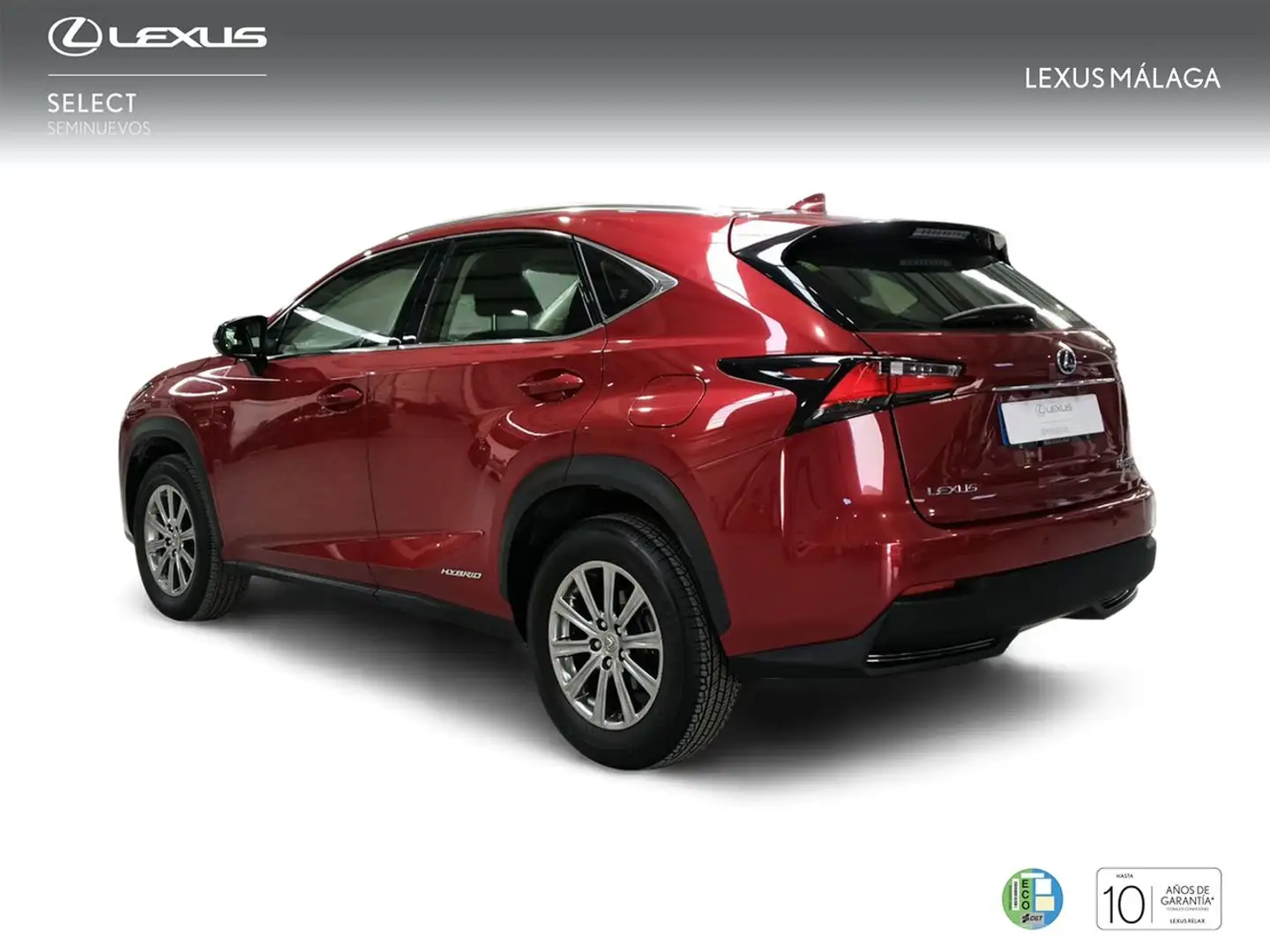 Lexus NX 300 300h Business 2WD Czerwony - 2