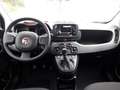 Fiat Panda 1.0 GSE Hybrid City Plus Grau - thumbnail 10