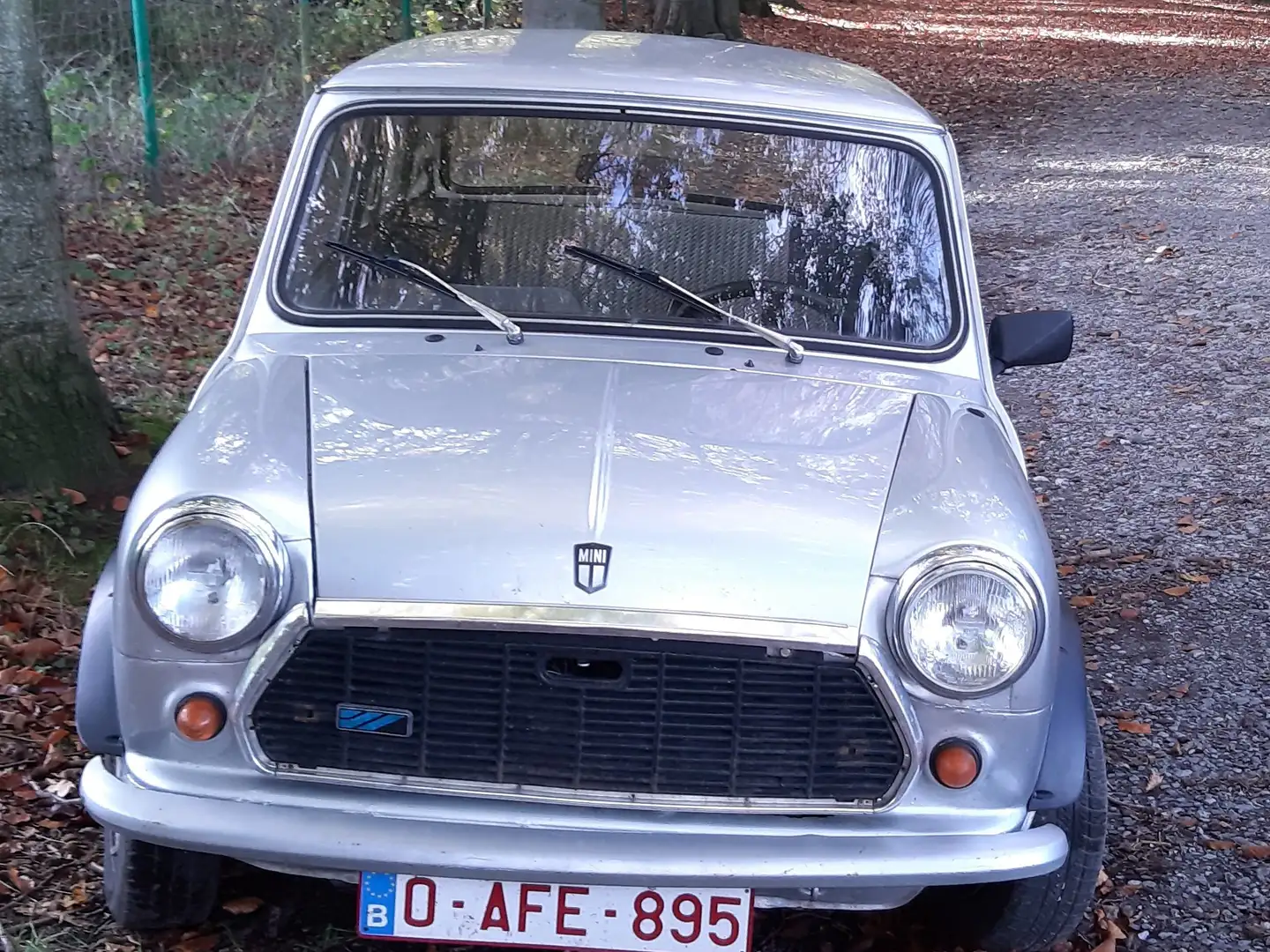 Rover MINI 1,3 Argent - 1