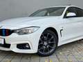 BMW 420 420d xDrive Gran Coupe M-Paket Aut. ACC/SPUR/PANO Weiß - thumbnail 3