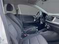 Kia Rio 1.2 EDITION SHZ+GRA+PDC+DAB+BT+NSW+MFL+MFA Blanc - thumbnail 11