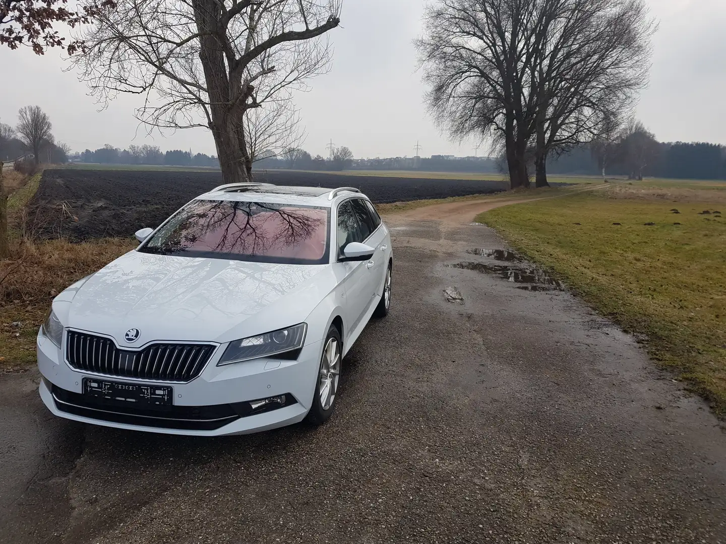 Skoda Superb Superb Combi 2.0 TDI 4x4 DSG L Weiß - 1
