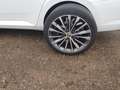 Skoda Superb Superb Combi 2.0 TDI 4x4 DSG L Weiß - thumbnail 16