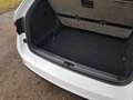 Skoda Superb Superb Combi 2.0 TDI 4x4 DSG L Weiß - thumbnail 17