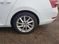 Skoda Superb Superb Combi 2.0 TDI 4x4 DSG L Weiß - thumbnail 12