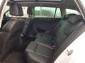 Skoda Superb Superb Combi 2.0 TDI 4x4 DSG L Weiß - thumbnail 20