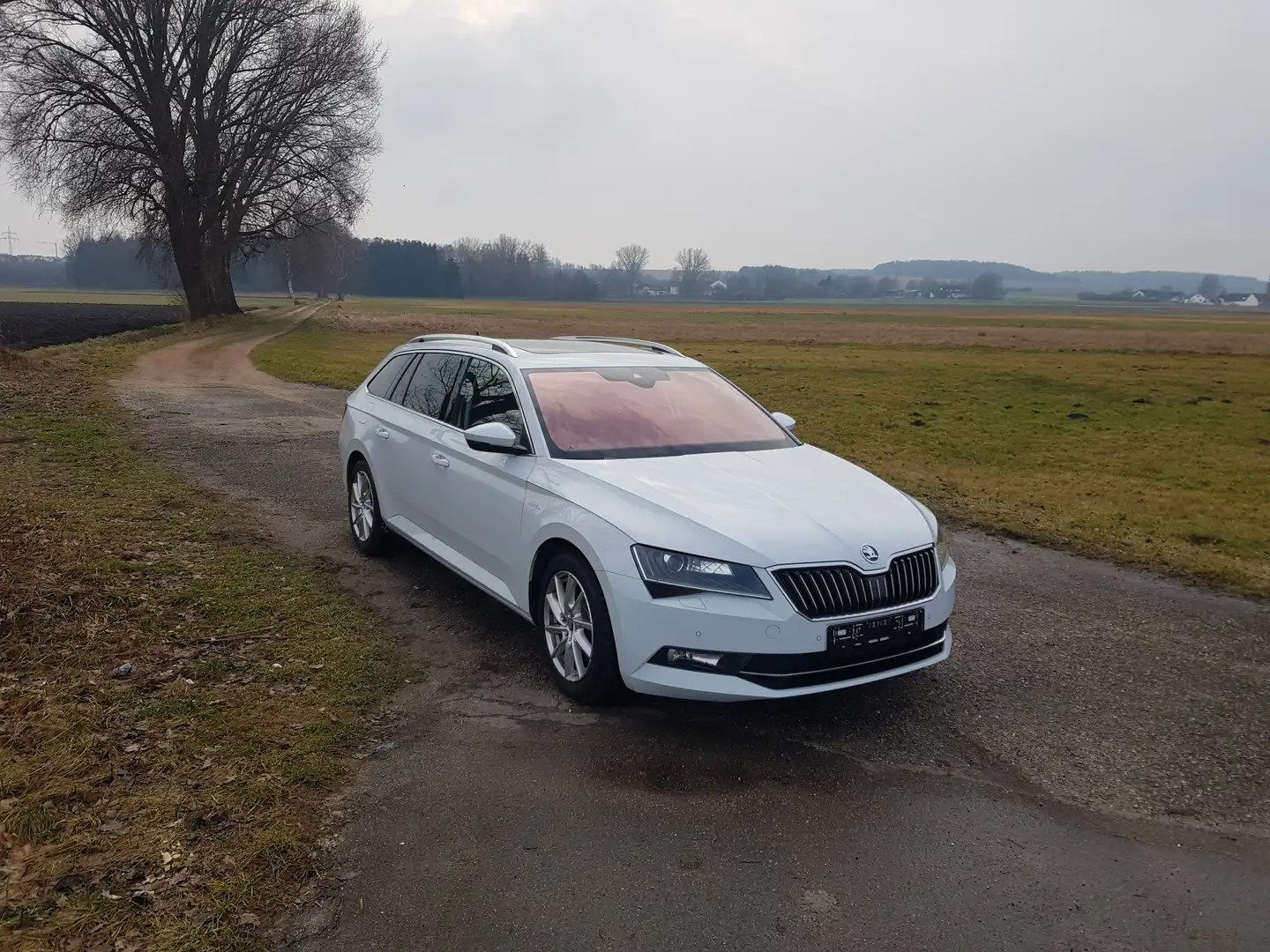 Skoda Superb Superb Combi 2.0 TDI 4x4 DSG L Weiß - 2