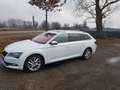 Skoda Superb Superb Combi 2.0 TDI 4x4 DSG L Weiß - thumbnail 4