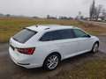 Skoda Superb Superb Combi 2.0 TDI 4x4 DSG L Weiß - thumbnail 8