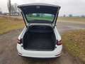 Skoda Superb Superb Combi 2.0 TDI 4x4 DSG L Weiß - thumbnail 9