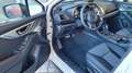 Subaru XV 1.6i EDITION Comfort plus Lineartr. 4WD Blanco - thumbnail 11