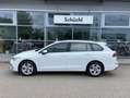 Volkswagen Golf Variant 1.5 TSI LIFE NAVI+LED+APP-CONNECT+A Weiß - thumbnail 2