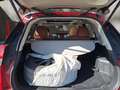 Nissan X-Trail Visia Rot - thumbnail 16