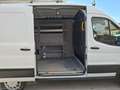 Ford Transit Tran.350 2.0 MHEV 130 PL-TM Furg.Trend PREZZO+IVA Blanc - thumbnail 21