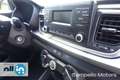 Kia Rio Rio 1.2 DPi 5 porte Grigio - thumbnail 10