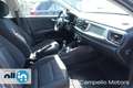 Kia Rio Rio 1.2 DPi 5 porte Grigio - thumbnail 6