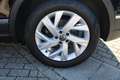 Volkswagen Tiguan Elegance 2.0 TDI DSG AHK Sthzg. Schwarz - thumbnail 12