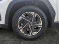 Hyundai TUCSON NX4 Jubile 1,6 T-GDi 2WD 48V Weiß - thumbnail 15