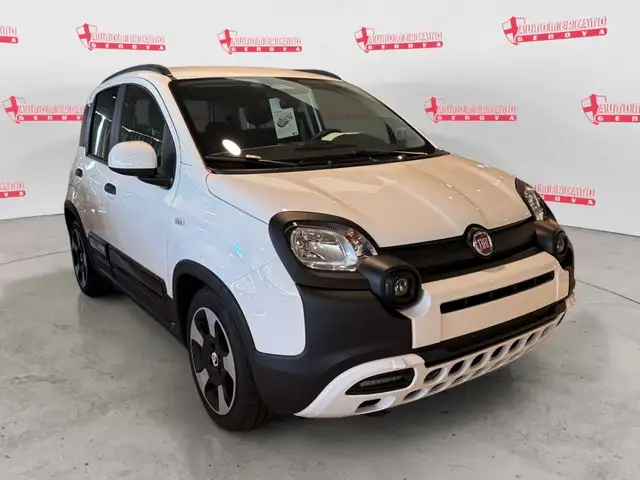 Fiat Pandina view 5