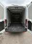 Ford Transit Transit 350 2.0TDCi EcoBlue PL-TM Furgone Trend Blanc - thumbnail 7