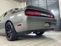 Dodge Challenger 6.4 v8 srt Grigio - thumbnail 16