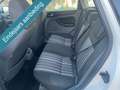 Ford Focus Wagon 1.6 Trend NIEUWE APK tot 13-01-2027 * TREKHA Blanc - thumbnail 11