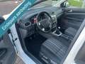 Ford Focus Wagon 1.6 Trend NIEUWE APK tot 13-01-2027 * TREKHA Weiß - thumbnail 10