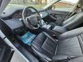 Land Rover Range Rover Evoque 2.0d i4 mhev HSE awd 150cv auto Bianco - thumbnail 9