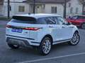 Land Rover Range Rover Evoque 2.0d i4 mhev HSE awd 150cv auto Bianco - thumbnail 6