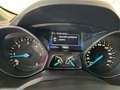 Ford C-Max 2.0 tdci Business 7 POSTI Blu/Azzurro - thumbnail 12