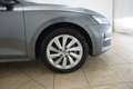 Skoda Octavia Octavia 2.0 TDI 150 CV DSG Wagon Executive Grau - thumbnail 22
