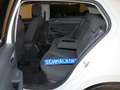 Volkswagen Golf VIII 1.5 TSI OPF Style eSAD Navi ACC DAB Blanco - thumbnail 5