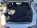 Audi Q5 S line 40TDI quattro AHK B&O 360° MATRIX ACC Weiß - thumbnail 7