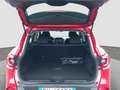 Renault Kadjar 1.5 dci energy Bose 110cv edc Rosso - thumbnail 8