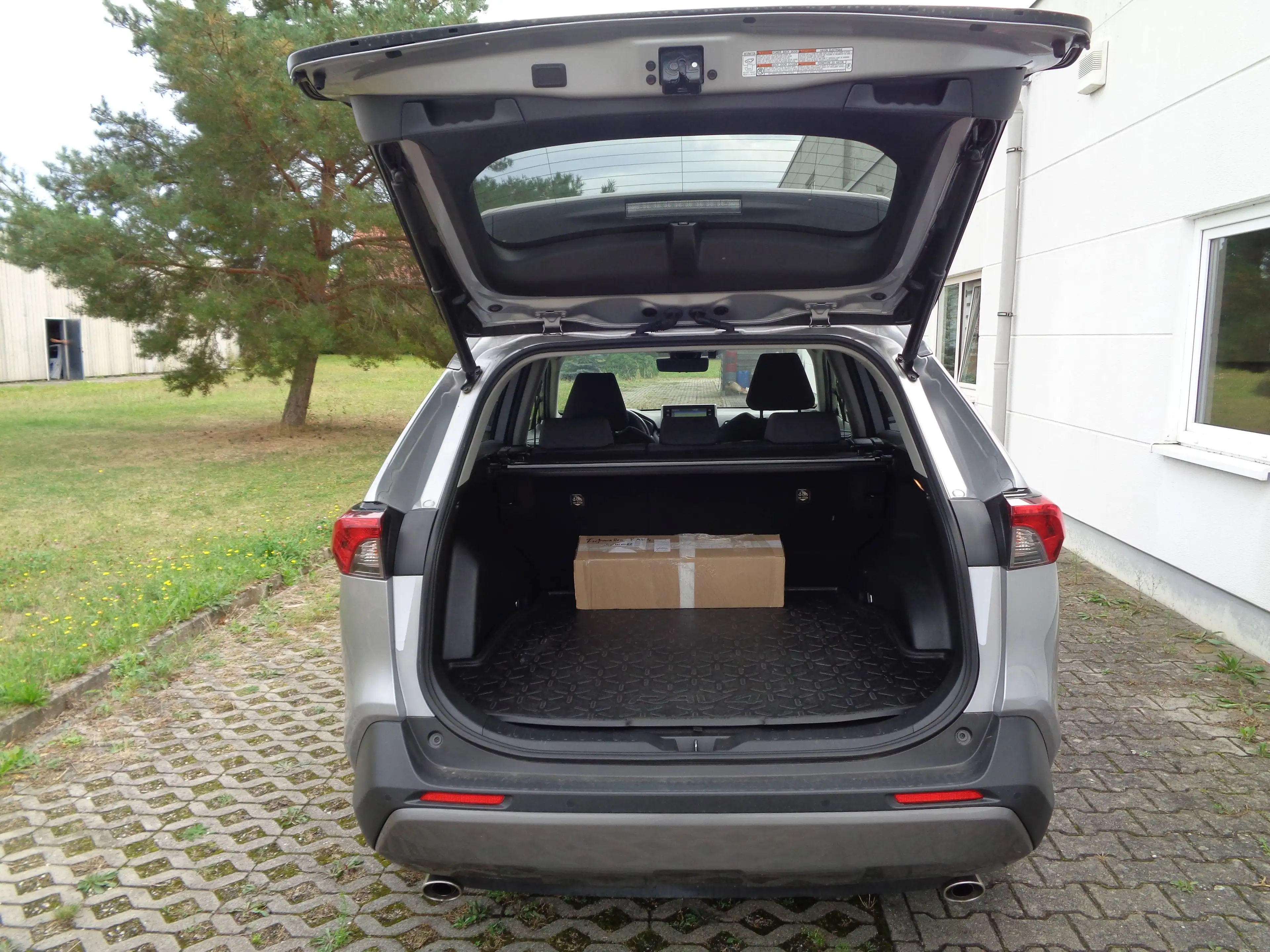 Toyota RAV 4 Hybrid 4x2 Team Deutschland — photo 5