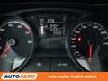 SEAT Ibiza 1.2 TSI Stylance / Style*TEMPO*PDC*SHZ*ALU* Grün - thumbnail 20