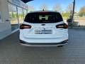 Ford Focus Active Style MHEV+LED+WinterPak+PDC+DAB+LMF Weiß - thumbnail 6