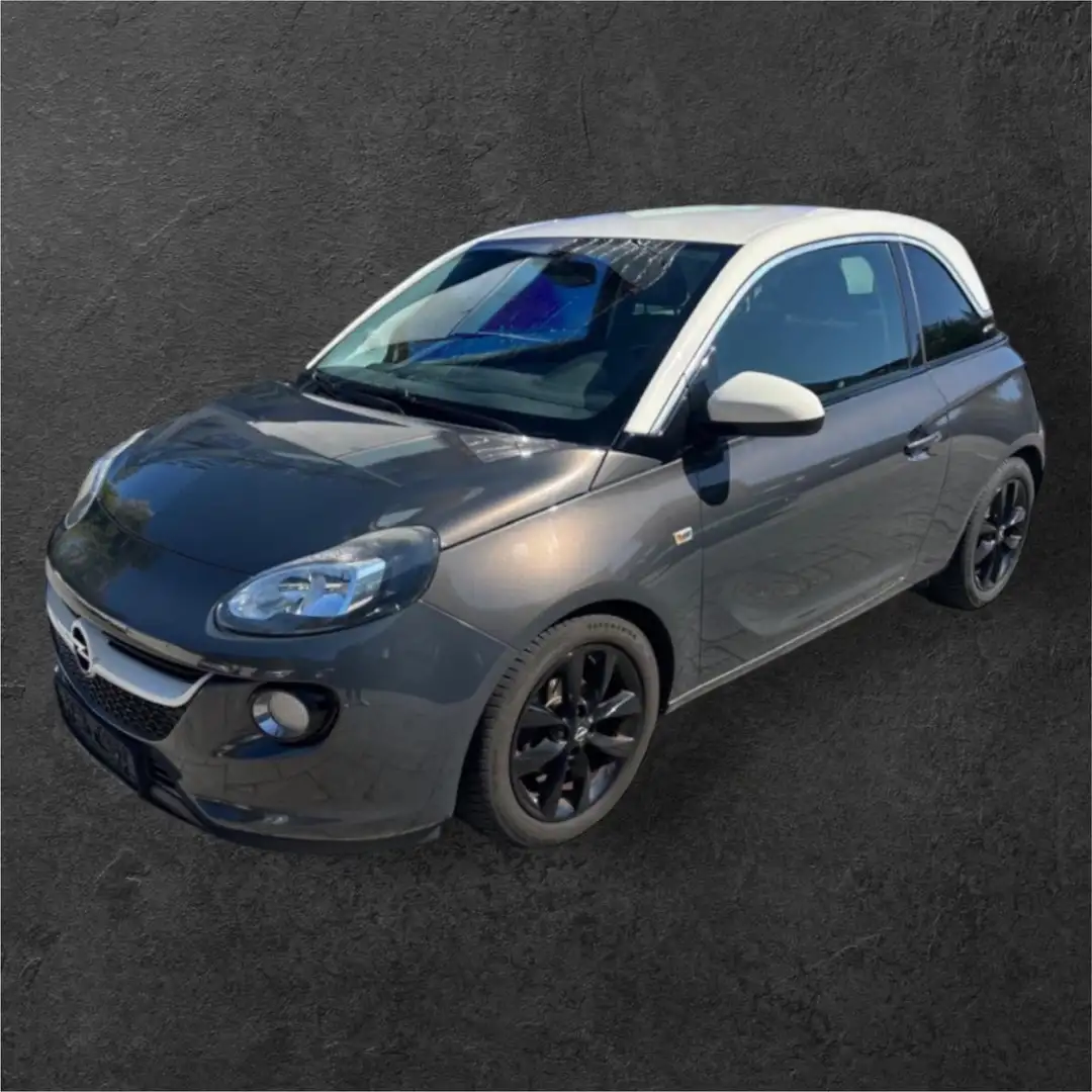 Opel Adam Jam ecoFlex Gris - 1
