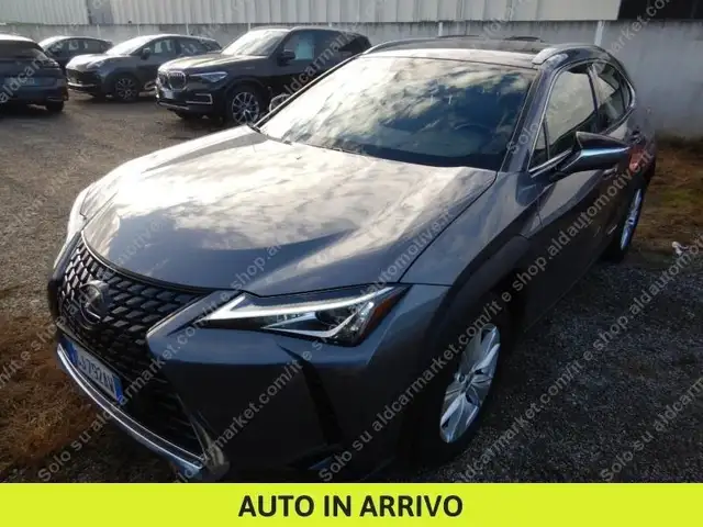 Lexus UX 250h Business 2wd cvt my20
