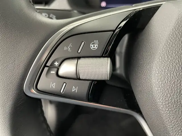 Skoda Kamiq view 13